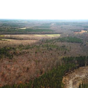 Photo #9 of SOLD property in Off Goodes Ferry Road, South Hill, VA 53.5 acres