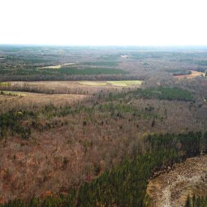 Photo #9 of Off Goodes Ferry Road, South Hill, VA 53.5 acres