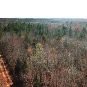 Photo #10 of SOLD property in Off Goodes Ferry Road, South Hill, VA 53.5 acres
