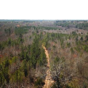Photo #11 of SOLD property in Off Goodes Ferry Road, South Hill, VA 53.5 acres