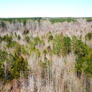 Photo #12 of Off Goodes Ferry Road, South Hill, VA 53.5 acres