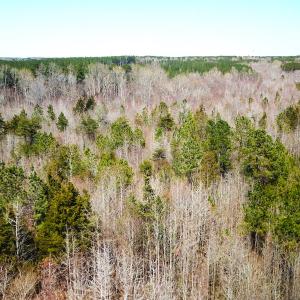 Photo #12 of SOLD property in Off Goodes Ferry Road, South Hill, VA 53.5 acres