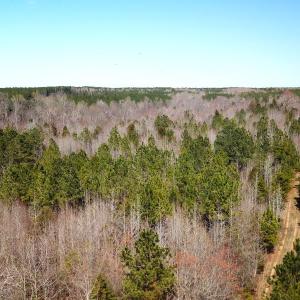 Photo #13 of SOLD property in Off Goodes Ferry Road, South Hill, VA 53.5 acres