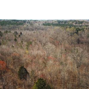Photo #14 of SOLD property in Off Goodes Ferry Road, South Hill, VA 53.5 acres