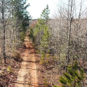 Photo #15 of SOLD property in Off Goodes Ferry Road, South Hill, VA 53.5 acres