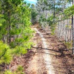 Photo #16 of SOLD property in Off Goodes Ferry Road, South Hill, VA 53.5 acres