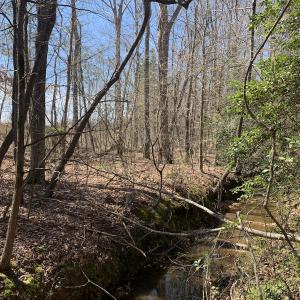 Photo #19 of SOLD property in Off Goodes Ferry Road, South Hill, VA 53.5 acres