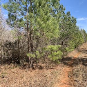 Photo #21 of SOLD property in Off Goodes Ferry Road, South Hill, VA 53.5 acres