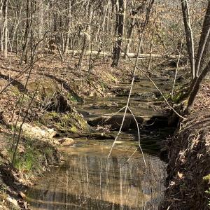 Photo #22 of SOLD property in Off Goodes Ferry Road, South Hill, VA 53.5 acres