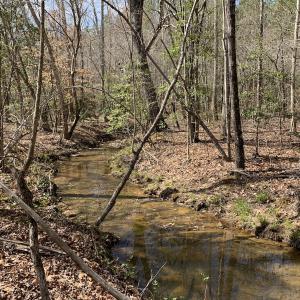 Photo #23 of SOLD property in Off Goodes Ferry Road, South Hill, VA 53.5 acres