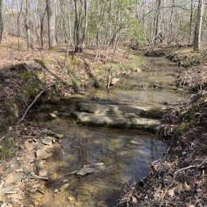 Photo #24 of SOLD property in Off Goodes Ferry Road, South Hill, VA 53.5 acres