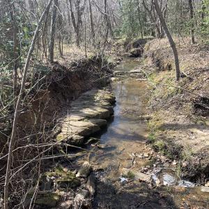 Photo #25 of SOLD property in Off Goodes Ferry Road, South Hill, VA 53.5 acres