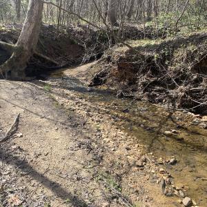 Photo #26 of SOLD property in Off Goodes Ferry Road, South Hill, VA 53.5 acres