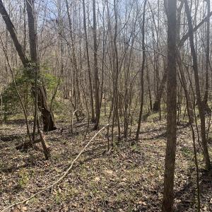 Photo #27 of Off Goodes Ferry Road, South Hill, VA 53.5 acres