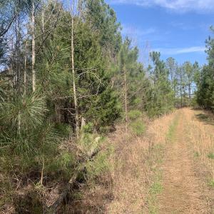 Photo #32 of SOLD property in Off Goodes Ferry Road, South Hill, VA 53.5 acres
