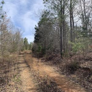 Photo #33 of SOLD property in Off Goodes Ferry Road, South Hill, VA 53.5 acres