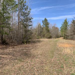 Photo #34 of SOLD property in Off Goodes Ferry Road, South Hill, VA 53.5 acres