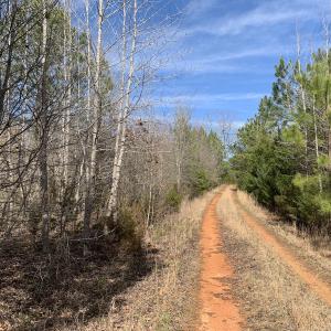 Photo #35 of SOLD property in Off Goodes Ferry Road, South Hill, VA 53.5 acres