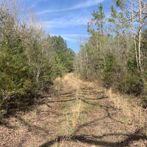 Photo #38 of SOLD property in Off Goodes Ferry Road, South Hill, VA 53.5 acres