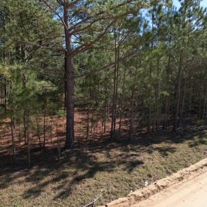 Photo #11 of SOLD property in Off Brenwood Road, Lake View, SC 1.5 acres