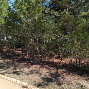 Photo #12 of SOLD property in Off Brenwood Road, Lake View, SC 1.5 acres