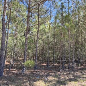 Photo #13 of SOLD property in Off Brenwood Road, Lake View, SC 1.5 acres