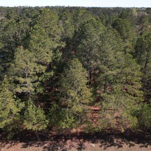 Photo #3 of SOLD property in Off Brenwood Road, Lake View, SC 1.5 acres