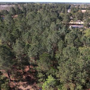 Photo #4 of Off Brenwood Road, Lake View, SC 1.5 acres