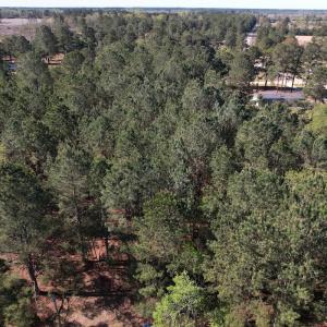 Photo #4 of SOLD property in Off Brenwood Road, Lake View, SC 1.5 acres
