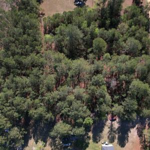Photo #5 of SOLD property in Off Brenwood Road, Lake View, SC 1.5 acres