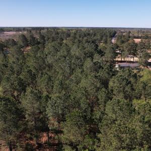 Photo #6 of SOLD property in Off Brenwood Road, Lake View, SC 1.5 acres