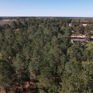 Photo #6 of Off Brenwood Road, Lake View, SC 1.5 acres