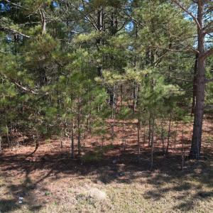 Photo #9 of Off Brenwood Road, Lake View, SC 1.5 acres