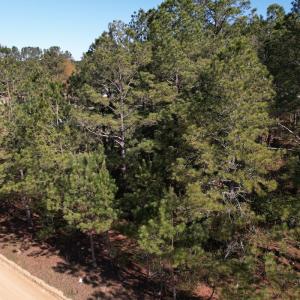 Photo #10 of SOLD property in Off Brenwood Road, Lake View, SC 1.5 acres