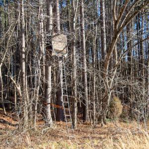 Photo #10 of SOLD property in Off Western Mill Road, Lawrenceville, VA 36.2 acres