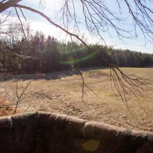Photo #11 of SOLD property in Off Western Mill Road, Lawrenceville, VA 36.2 acres