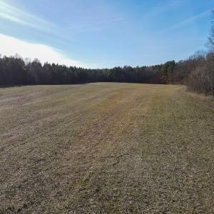 Photo #12 of SOLD property in Off Western Mill Road, Lawrenceville, VA 36.2 acres