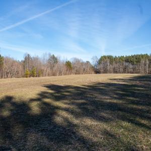 Photo #13 of SOLD property in Off Western Mill Road, Lawrenceville, VA 36.2 acres