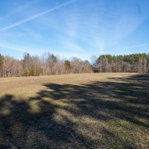 Photo #13 of Off Western Mill Road, Lawrenceville, VA 36.2 acres