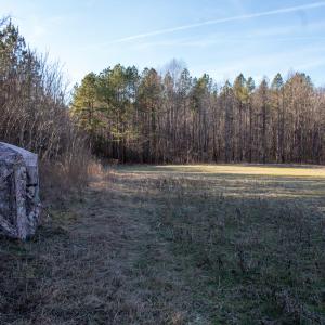 Photo #14 of SOLD property in Off Western Mill Road, Lawrenceville, VA 36.2 acres