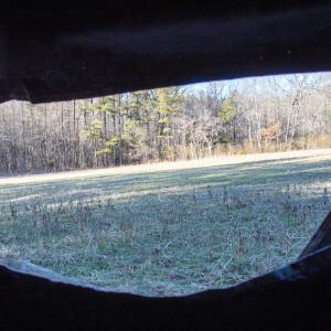 Photo #15 of SOLD property in Off Western Mill Road, Lawrenceville, VA 36.2 acres