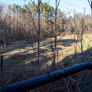 Photo #16 of SOLD property in Off Western Mill Road, Lawrenceville, VA 36.2 acres