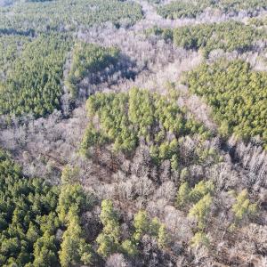 Photo #19 of SOLD property in Off Western Mill Road, Lawrenceville, VA 36.2 acres