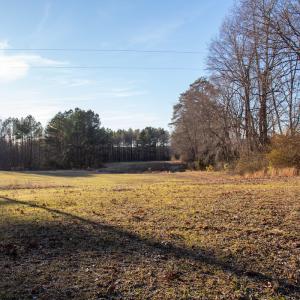 Photo #3 of SOLD property in Off Western Mill Road, Lawrenceville, VA 36.2 acres
