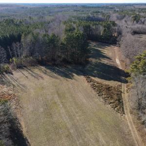 Photo #5 of SOLD property in Off Western Mill Road, Lawrenceville, VA 36.2 acres