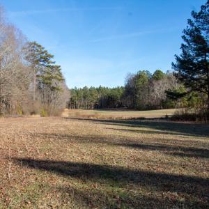 Photo #6 of SOLD property in Off Western Mill Road, Lawrenceville, VA 36.2 acres