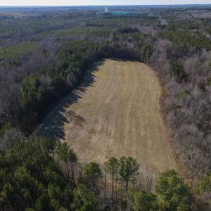 Photo #8 of SOLD property in Off Western Mill Road, Lawrenceville, VA 36.2 acres