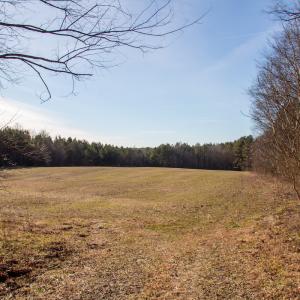 Photo #9 of SOLD property in Off Western Mill Road, Lawrenceville, VA 36.2 acres