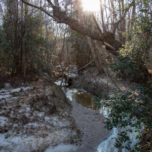 Photo #22 of SOLD property in Off Western Mill Road, Lawrenceville, VA 36.2 acres