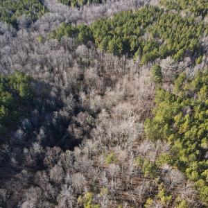 Photo #24 of SOLD property in Off Western Mill Road, Lawrenceville, VA 36.2 acres